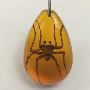 Real Spider Necklace Insect in Resin Pendant